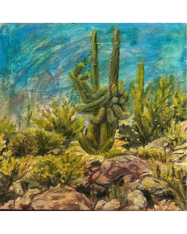 Saguaro