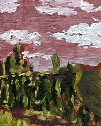 Nopalera de Xochimilco