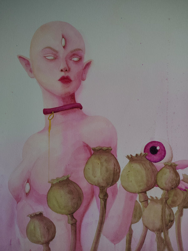 Entre hadas y amapolas II