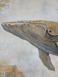 Humpback whale